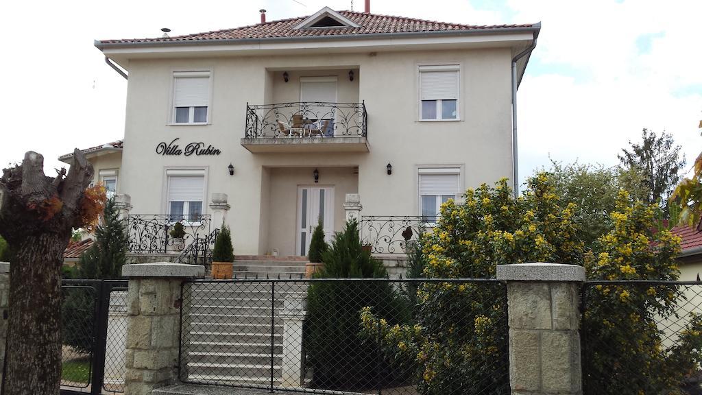 Villa Rubin Panzio Hajdúszoboszló 외부 사진